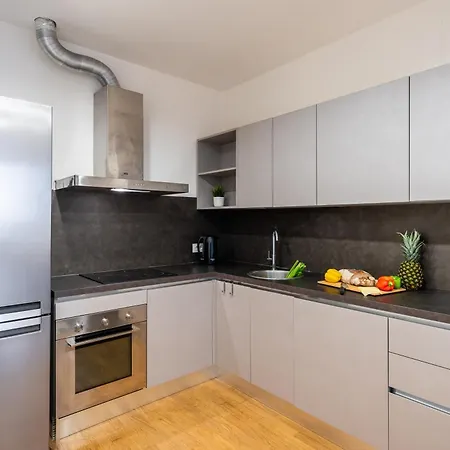 Apartmán Spacious 3-bedrooms Near Karlin Square *